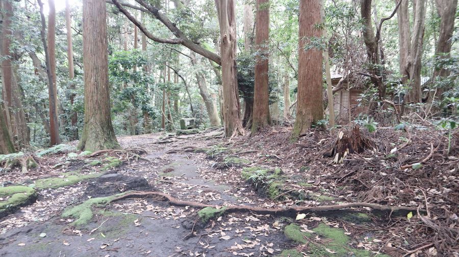 波治加麻神社