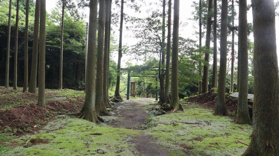 波治加麻神社