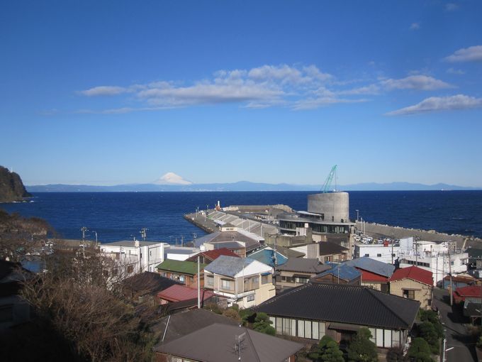 伊豆諸島ウォークin大島