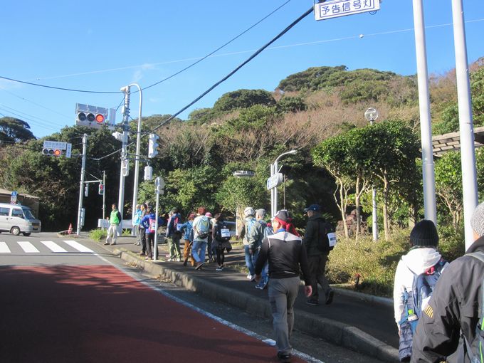 伊豆諸島ウォークin大島