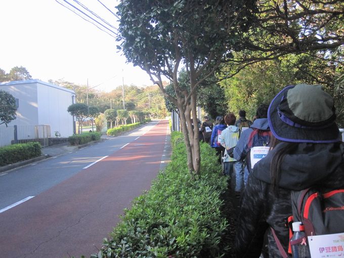 伊豆諸島ウォークin大島