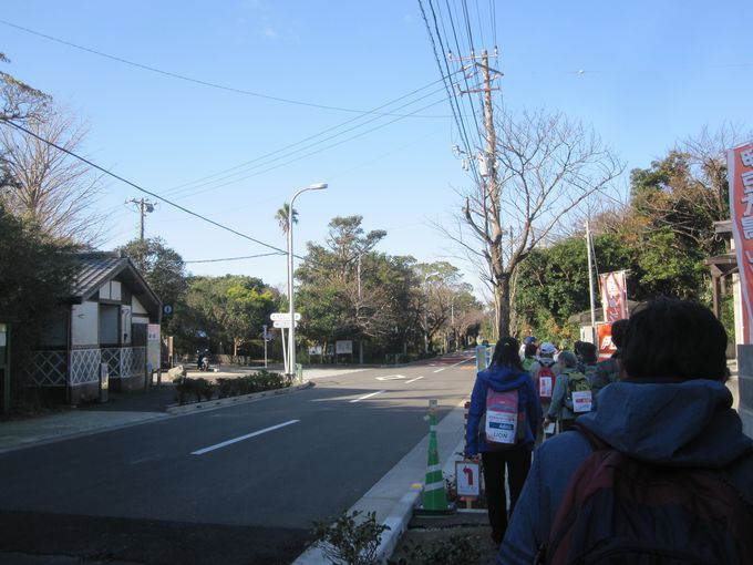 伊豆諸島ウォークin大島