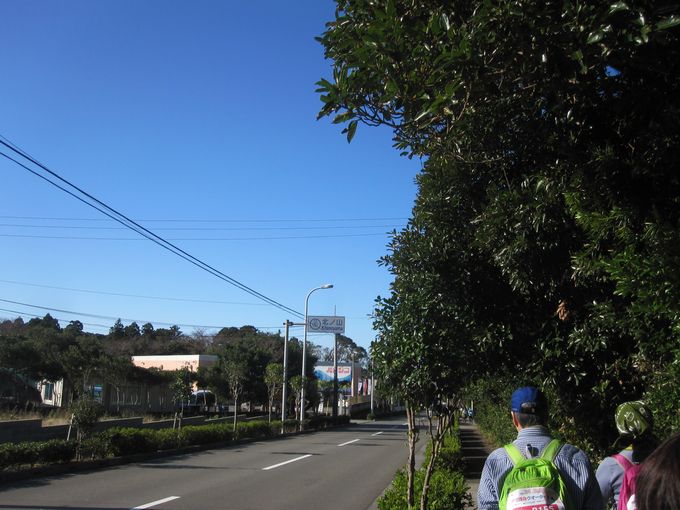 伊豆諸島ウォークin大島