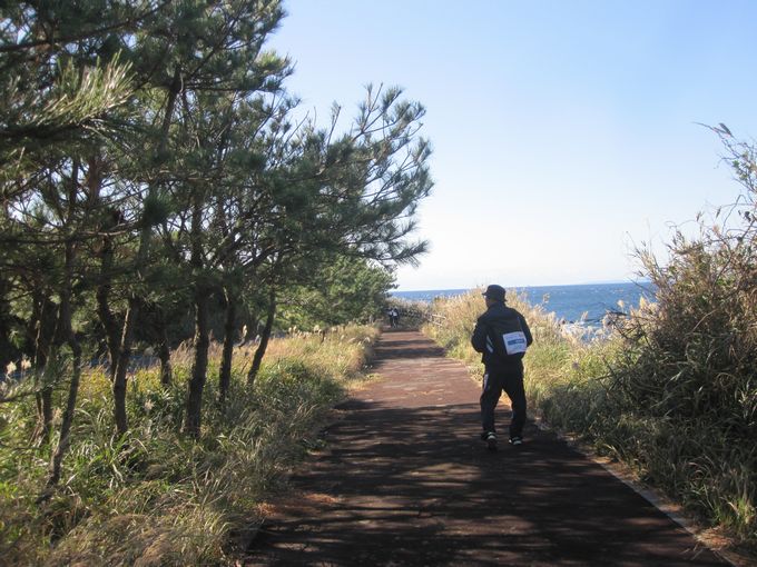 伊豆諸島ウォークin大島