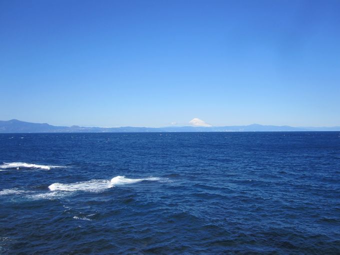 伊豆諸島ウォークin大島