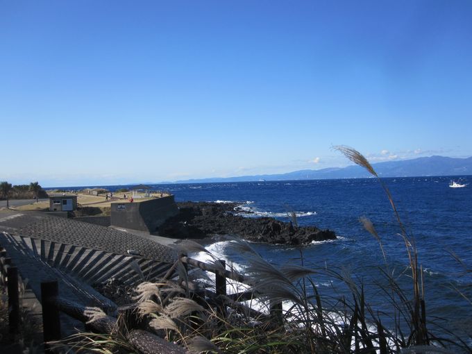 伊豆諸島ウォークin大島