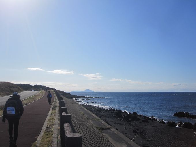 伊豆諸島ウォークin大島