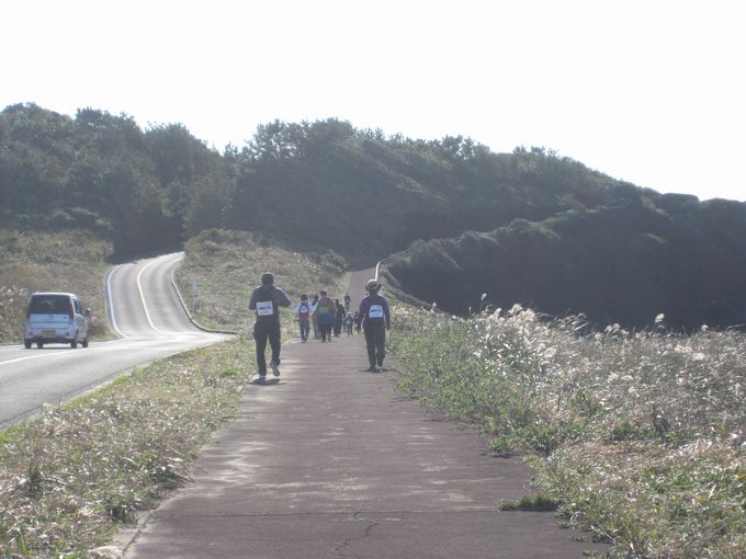 伊豆諸島ウォークin大島