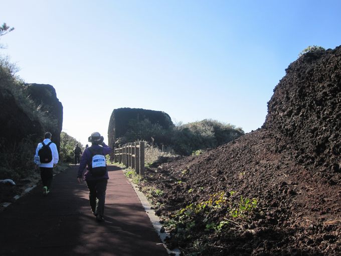 伊豆諸島ウォークin大島