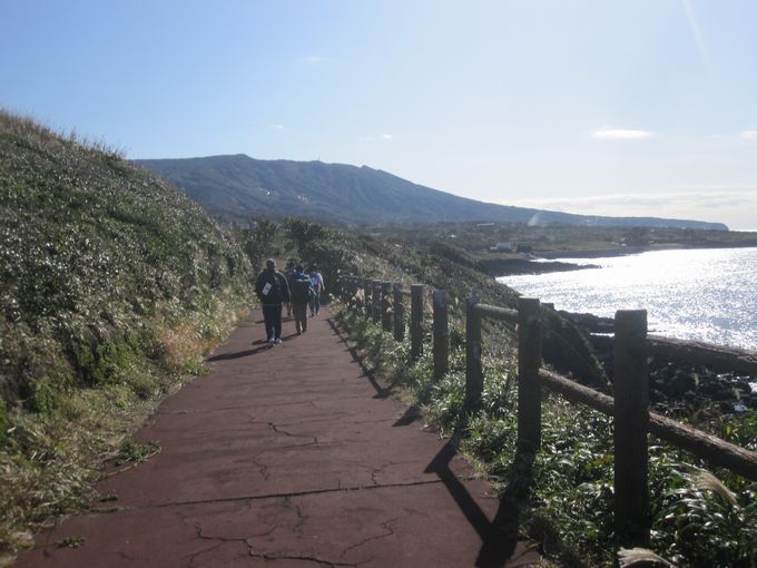 伊豆諸島ウォークin大島