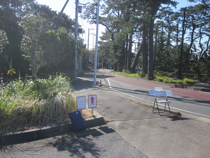 伊豆諸島ウォークin大島