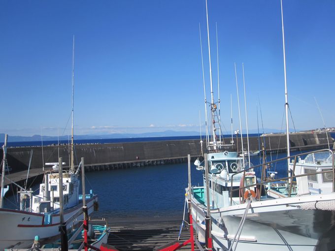 伊豆諸島ウォークin大島