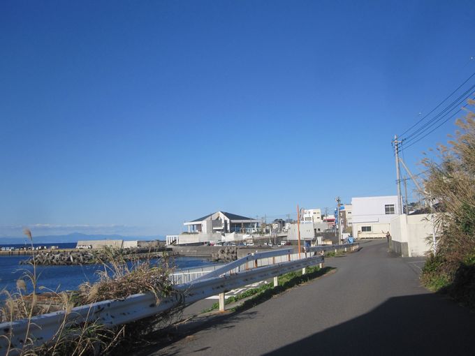 伊豆諸島ウォークin大島