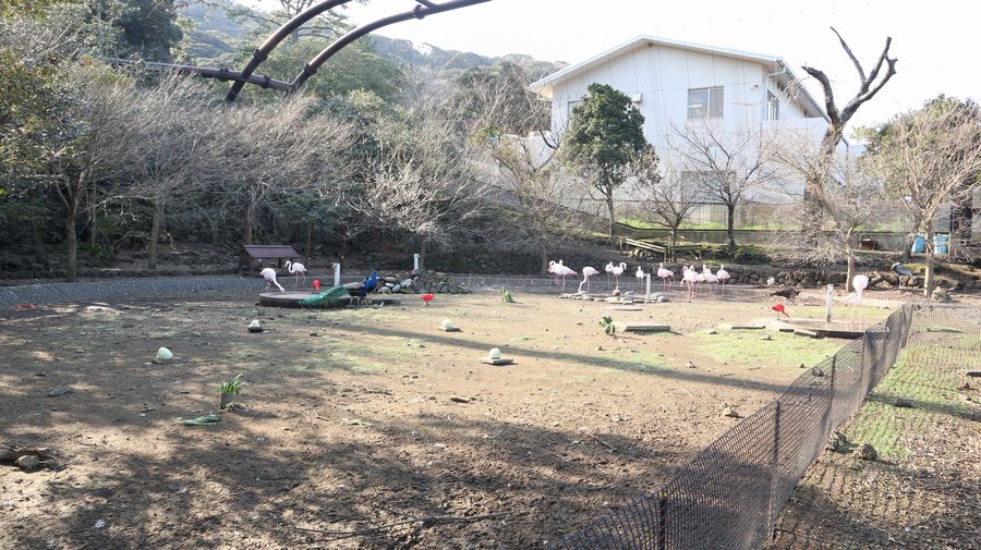 大島公園動物園