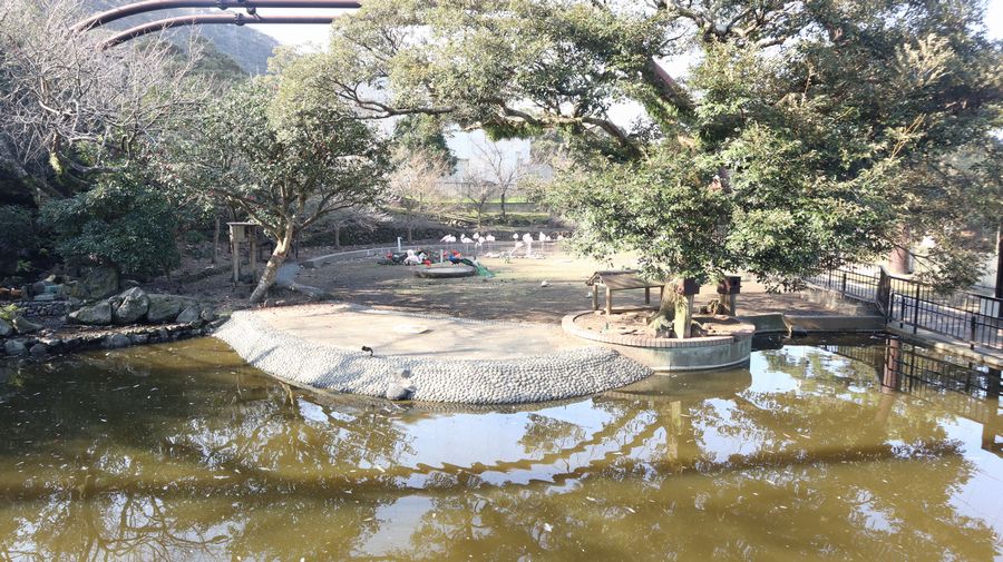 大島公園動物園