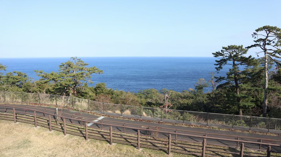 大島公園動物園