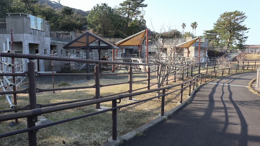 大島公園動物園