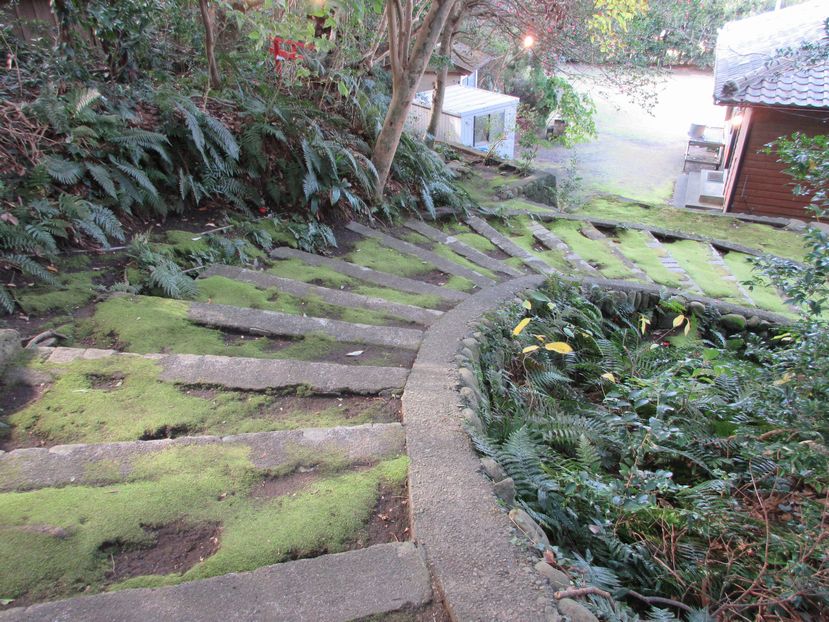 吉谷神社