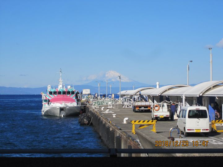 大島での生活　散歩道