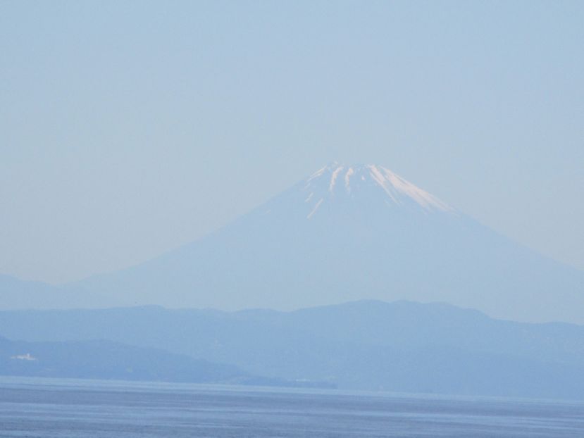 大島での生活　散歩道