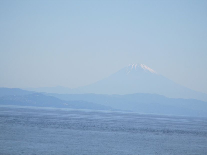 大島での生活　散歩道