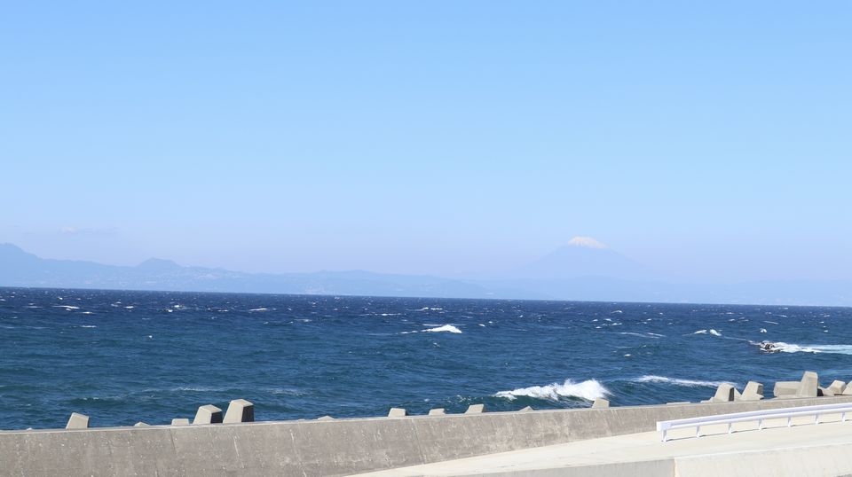 大島での生活　散歩道