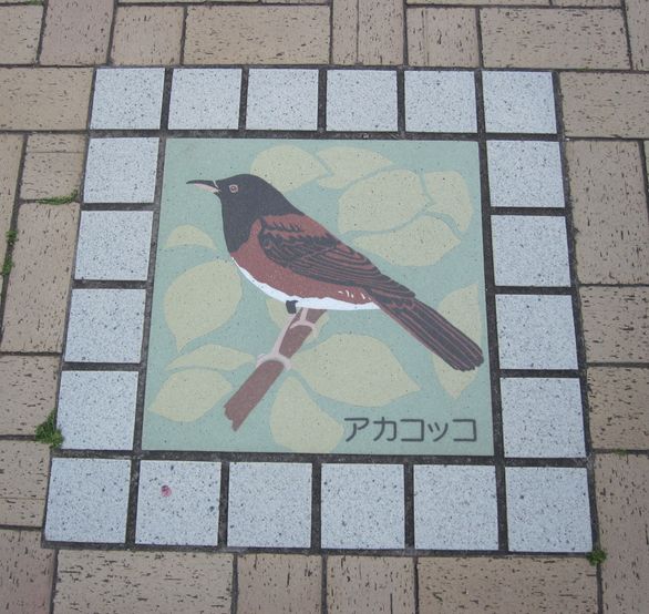 大島での生活　散歩道