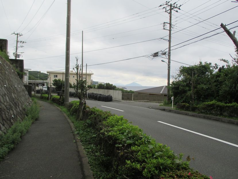 大島での生活　散歩道