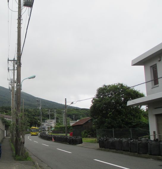 大島での生活　散歩道