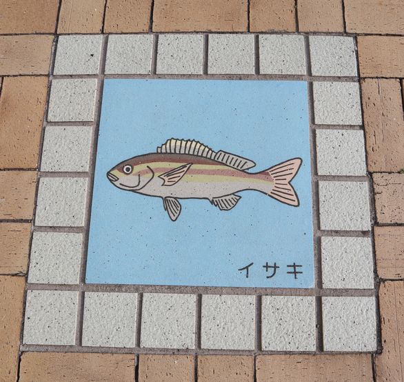 大島での生活　散歩道