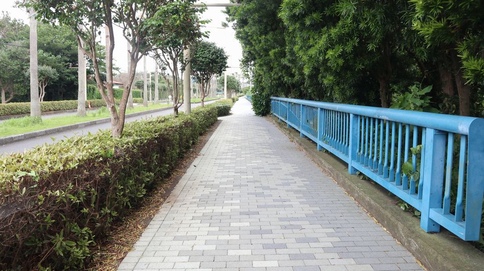 大島での生活　散歩道