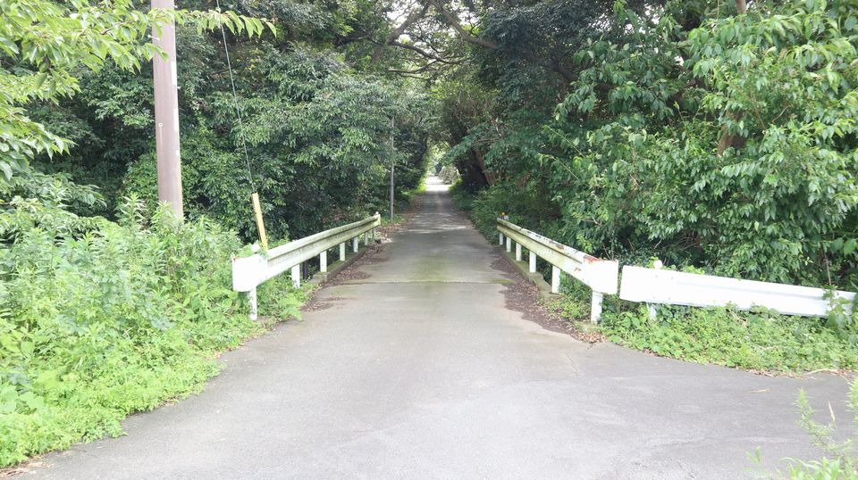 大島での生活　散歩道