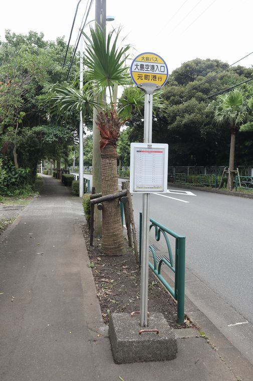 大島での生活　散歩道