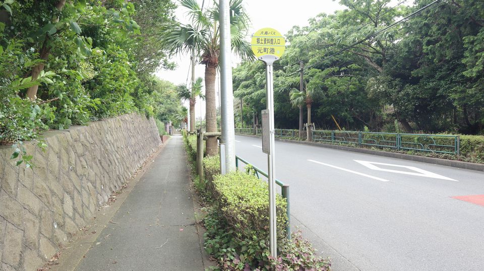 大島での生活　散歩道