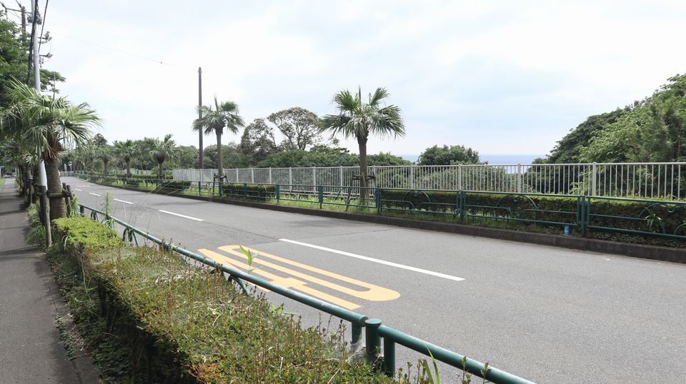 大島での生活　散歩道