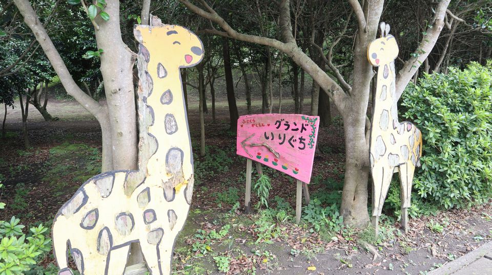 大島での生活　散歩道