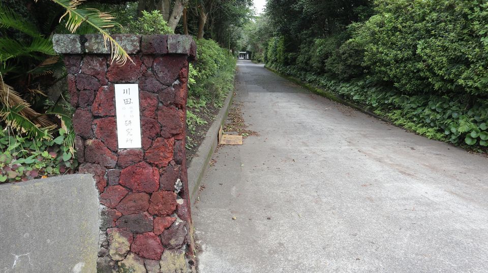 大島での生活　散歩道