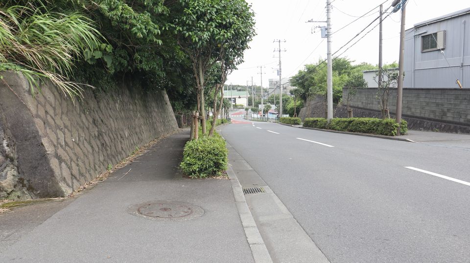 大島での生活　散歩道