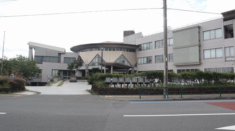 大島での生活　散歩道